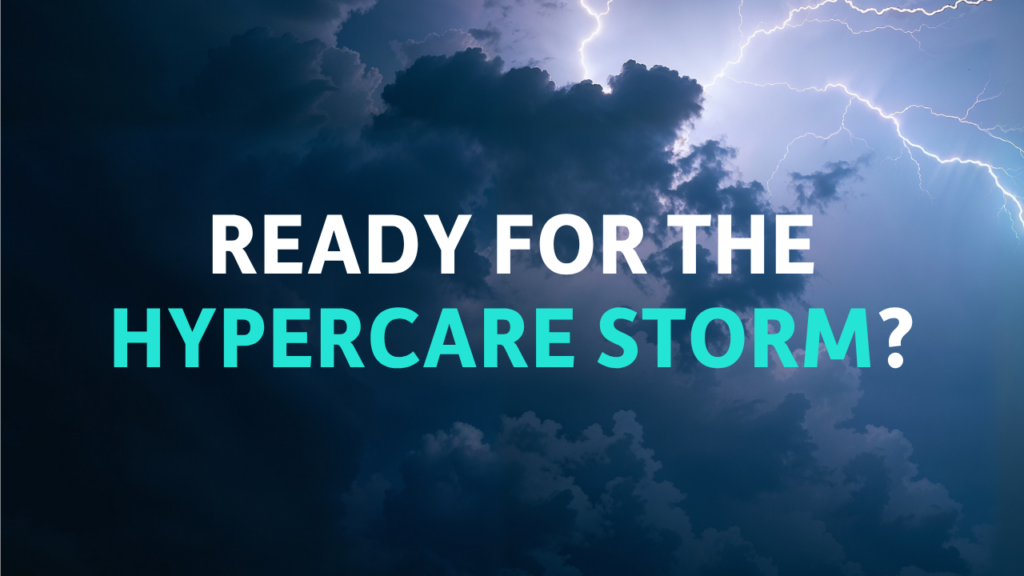 Data steward correcting Oracle Fusion Cloud records in Excel during hypercare